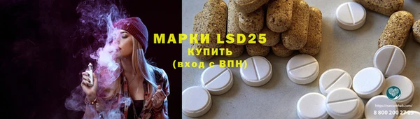 стафф Дмитров