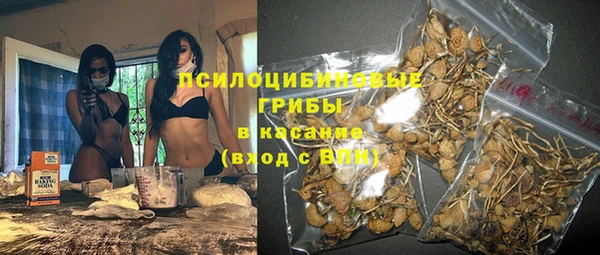 а пвп мука Гусиноозёрск