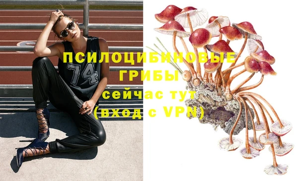 не бодяженный Гусь-Хрустальный