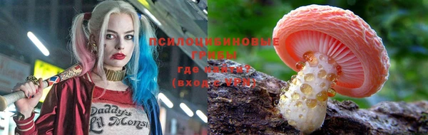 стафф Дмитров